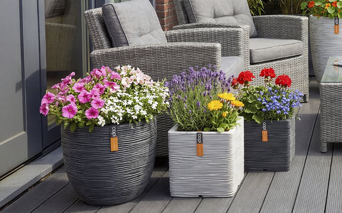 Nachhaltigkeit und Pflanzegfäße aus Kunsttoff ist kein Widerspruch Link zur Capi Europe Markenwelt