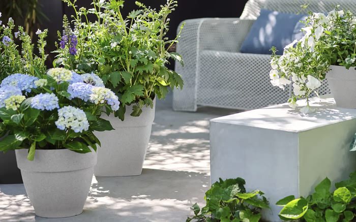 Pflanzgefäße nachhaltig produziert Link zur elho® Markenwelt