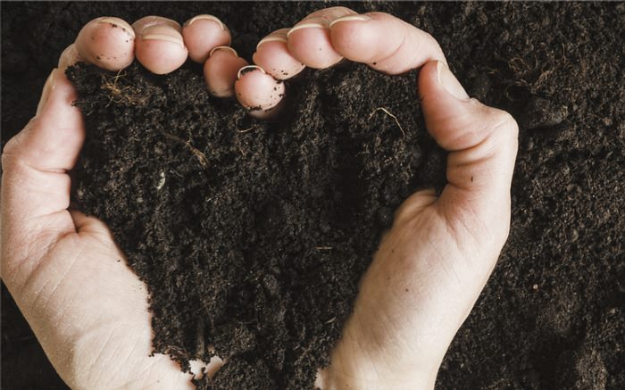 Blumenerde, damit Pflanzen sich freuen Link zur Floragard® Markenwelt