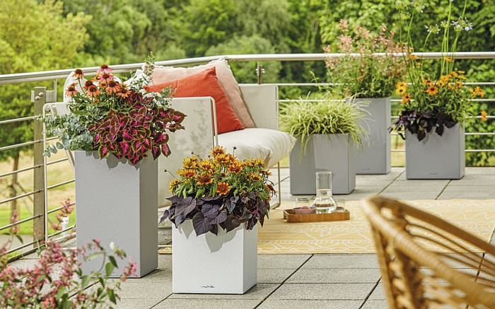 Kleider machen Leute und das gilt auch für Pflanzen Link zur Lechuza® Markenwelt