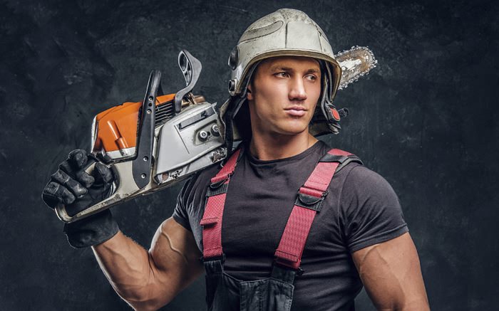 Ersatzteile & Merchandising Procukte vom Weltmarkthersteller Link zur Stihl® Markenwelt